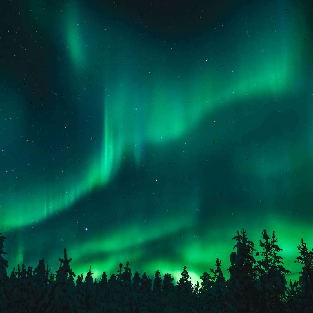 Aurora Nordlichter